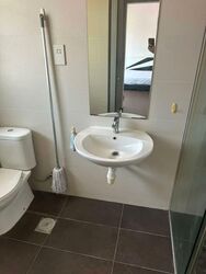 Sunbird Park (D16), Terrace #565670081